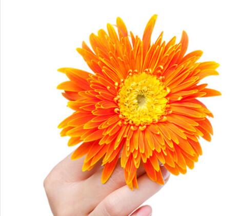 简短走心的祝福语