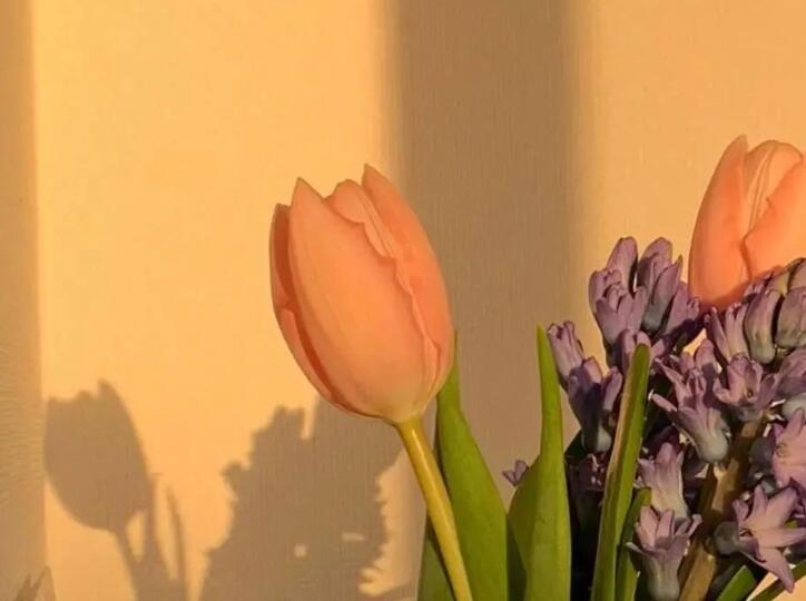 清闲的幽默句子文案说说心情