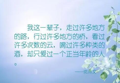 喜欢一座城市的好句子文案