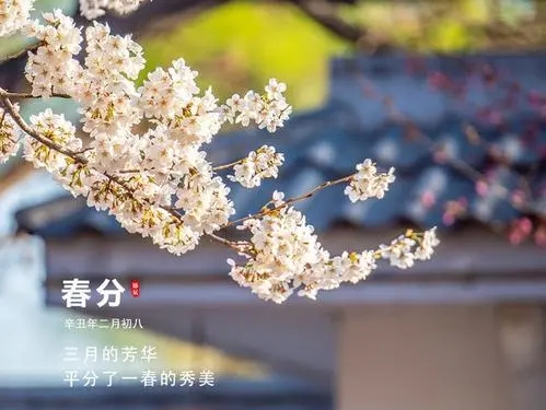 春天游玩适合发朋友圈的句子文案