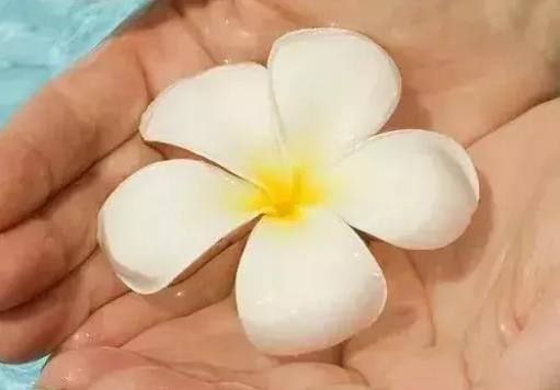 道歉求原谅的话