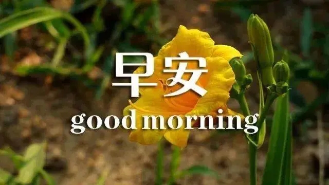 早安问候语简短一句话
