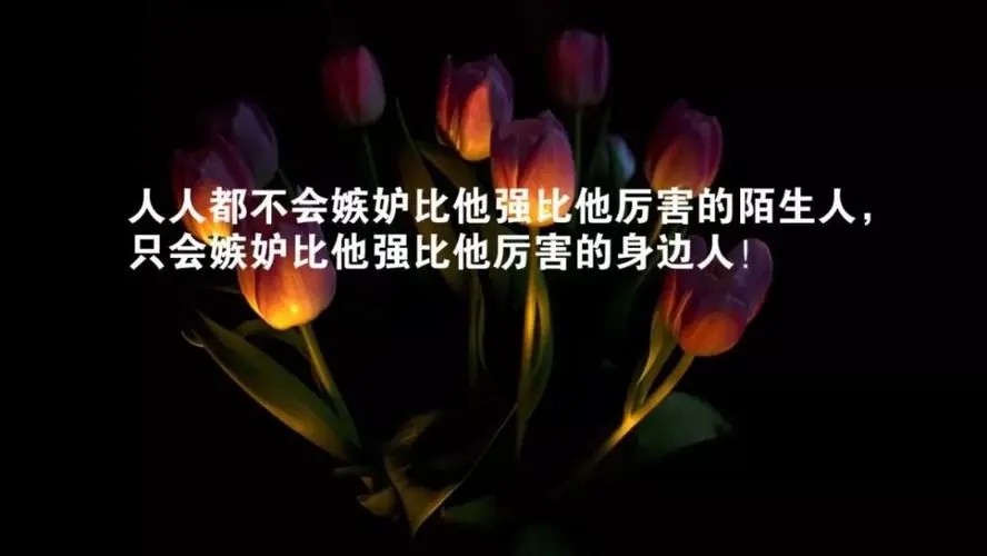 名人生活哲理的句子文案经典