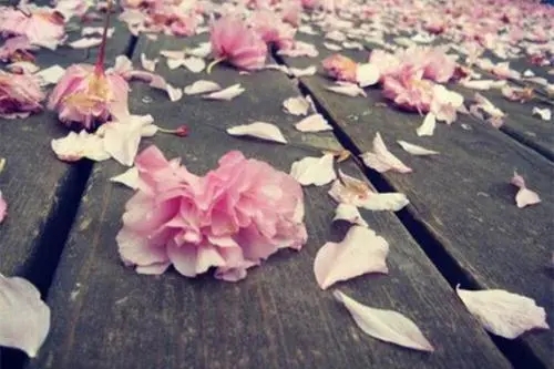 人品问题的句子文案