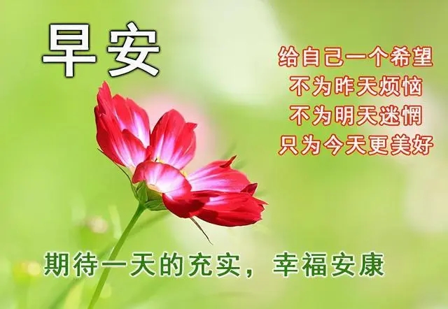 清晨友谊祝福语