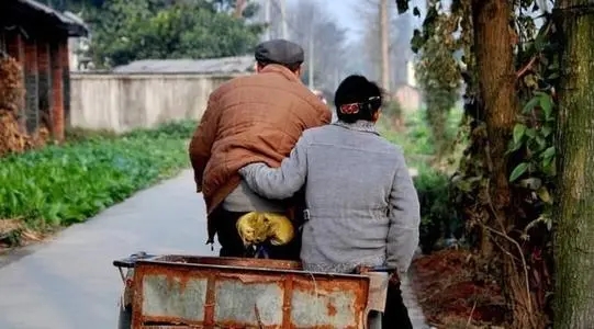 称赞孝顺的人的话