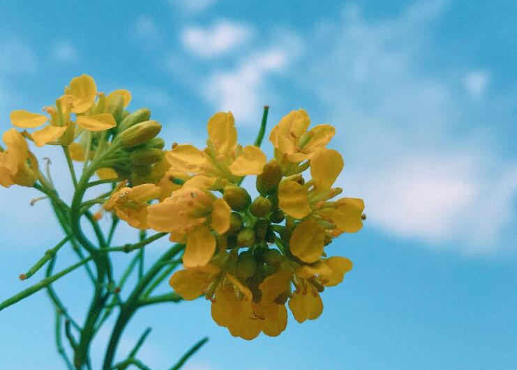 夫妻正能量奋斗的句子文案