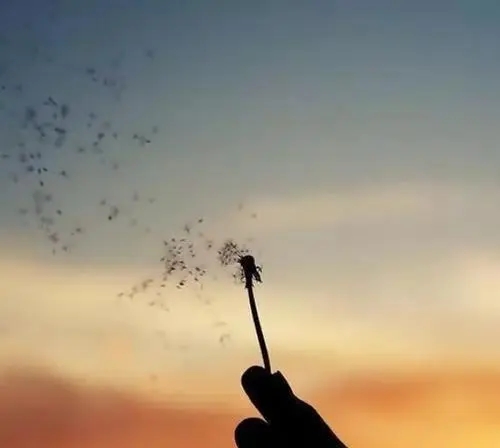 让人心寒只是一瞬间的句子文案