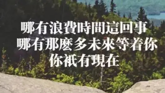 关于专注的精彩句子文案