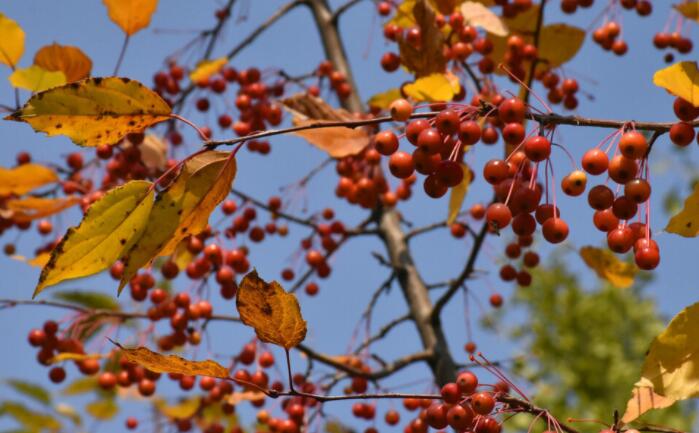 适合发朋友圈最美短文