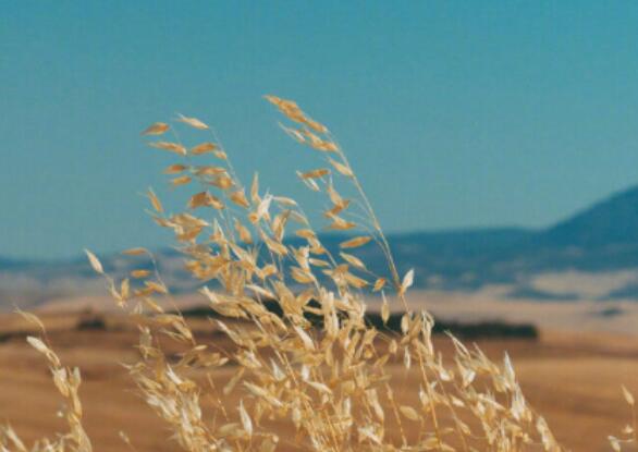 让人很兴奋的句子文案