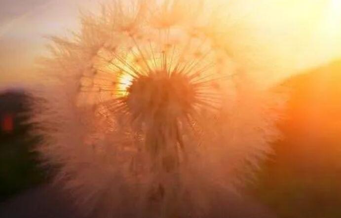 早安暖心阳光正能量一句话