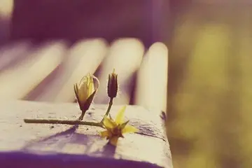 假期朋友圈的说说文案