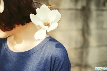 半夜睡不着的心情说说文案