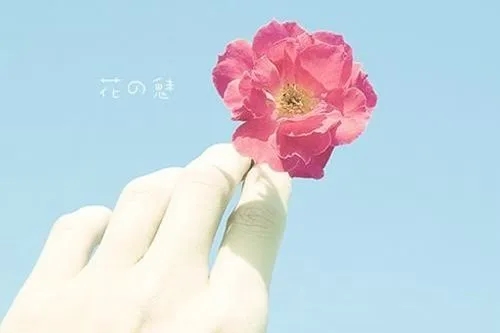 浪漫清新唯美意境句子文案