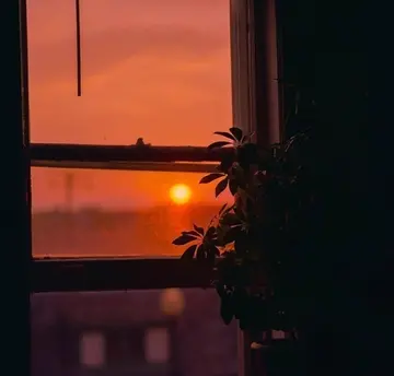 淡然面对生活的句子文案