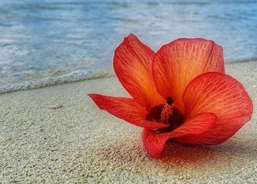 关于描写清晨的优美句子文案