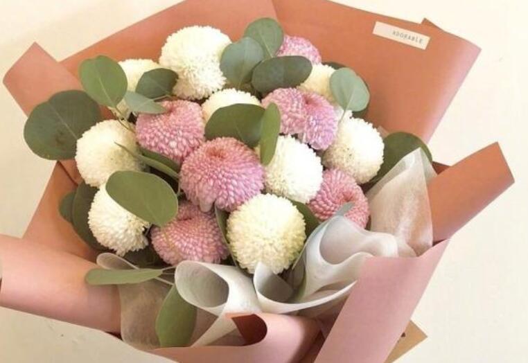 祝福老师的祝福语