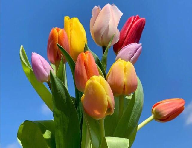 给自己早安的一句话