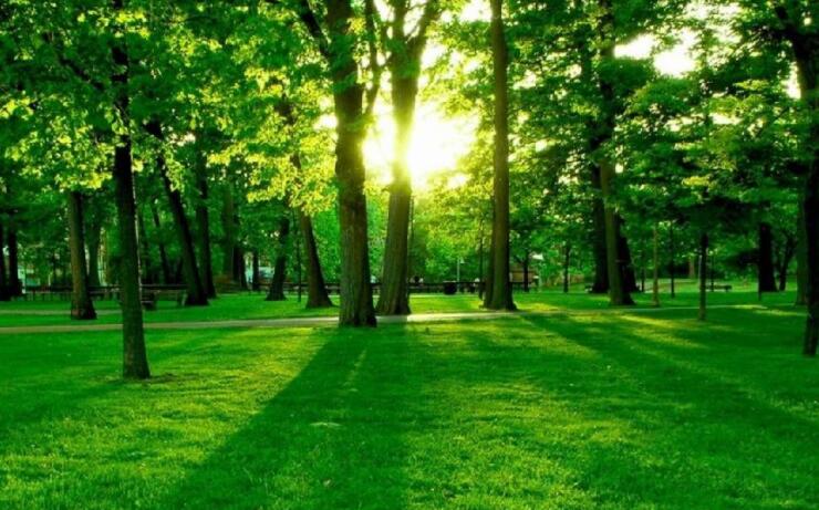 描写大自然美景的诗句文案