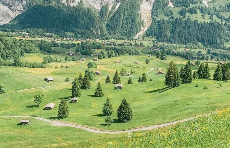 春天的气息的句子文案短一点的