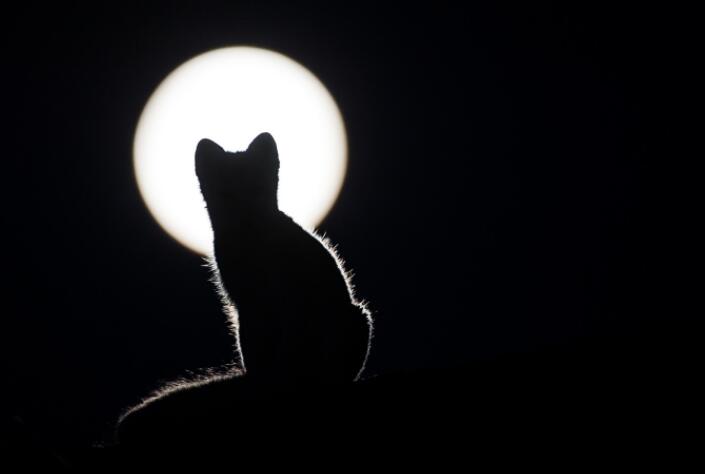 一些霸气高冷黑暗的话