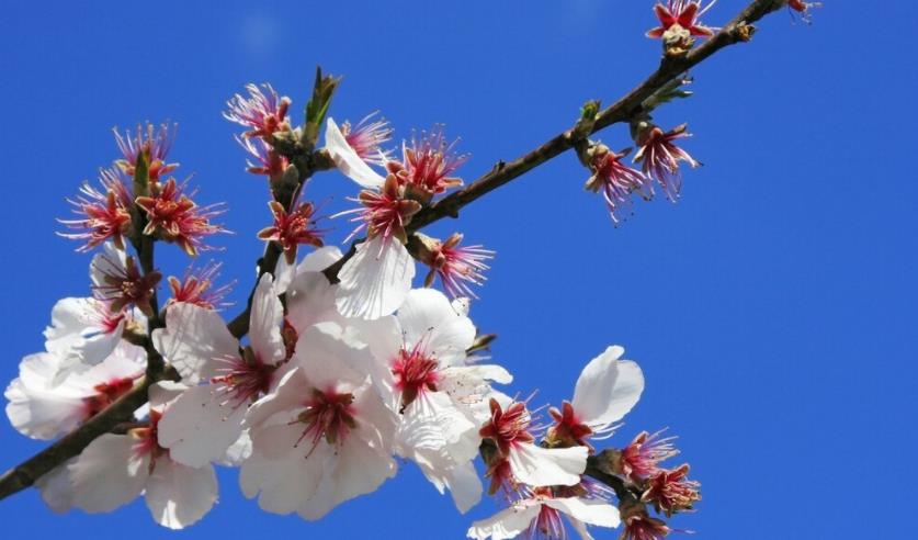 抖音文案句子致自己