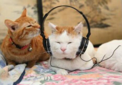 享受音乐的说说文案