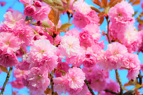 给女生感动的话