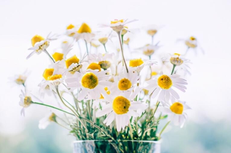 人到中年活得累的语句文案