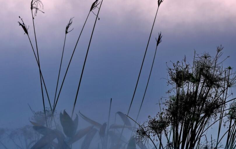 特别心酸的长句子文案