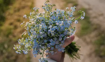 2024年七夕情话文案最暖心短句