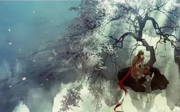 悟空传小说经典短句