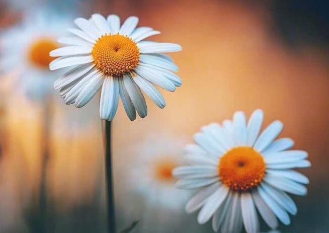 送给好友的早安短句