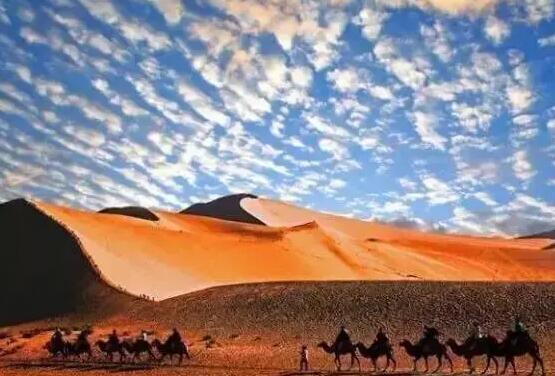 初中抒情议论段落摘抄加赏析