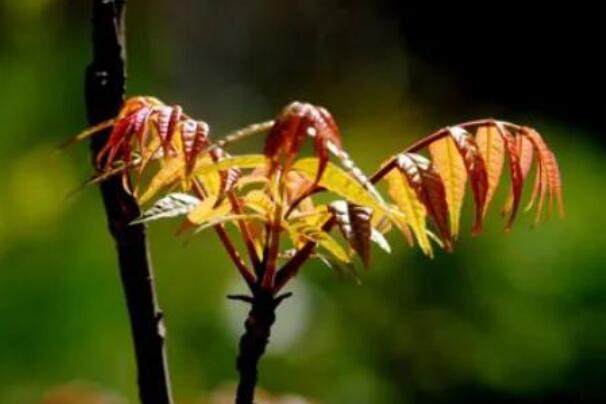 老同学相聚的心情短语