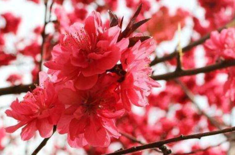 命运为什么如此折磨我说说文案