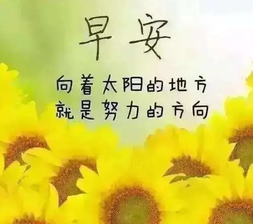 清晨励志正能量的句子文案