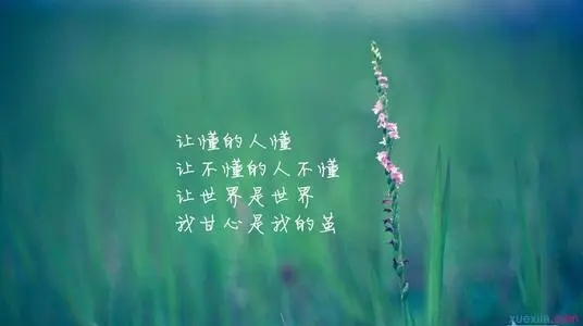 富有哲理的句子文案摘抄