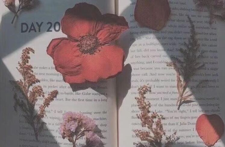 一次就好最精辟的一句话