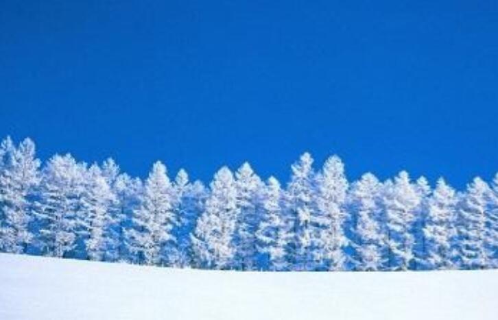 下雪过后的句子文案