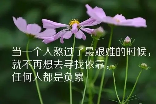 关于稳的句子文案