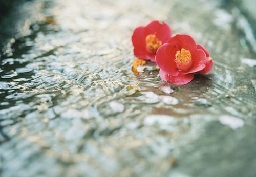 不稀罕别人的东西说说文案