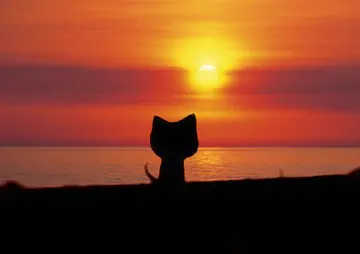 身在远方心在你身边的美句子文案