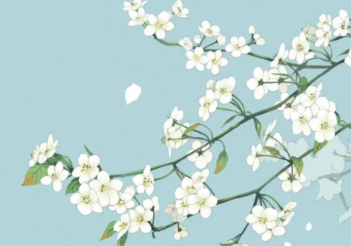 清明表达思念的诗句文案