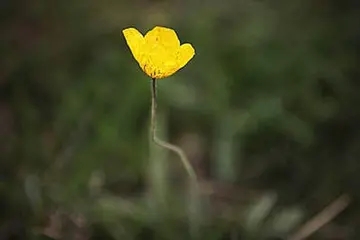 表达坚持的句子文案说说心情