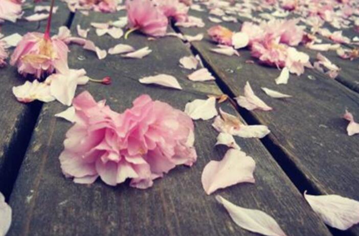 描写人性丑陋的古诗词