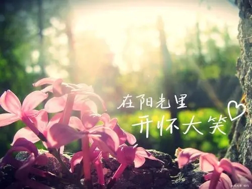 关于友情的优美句子文案100字