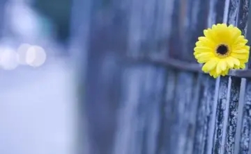 漂亮可爱善良体贴的自夸句子文案