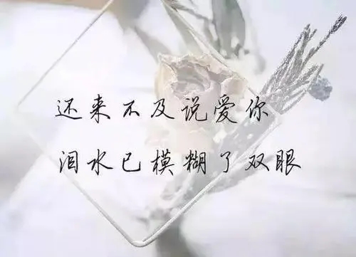 经典伤感名人名言